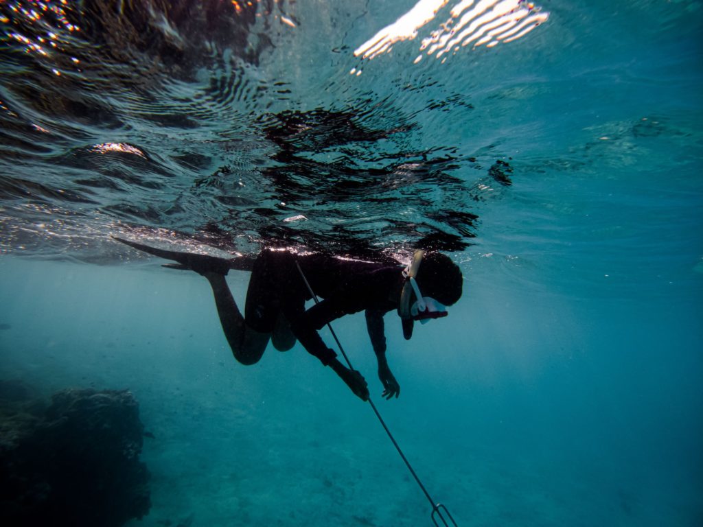 spearfishing is an example of sustainable fishing