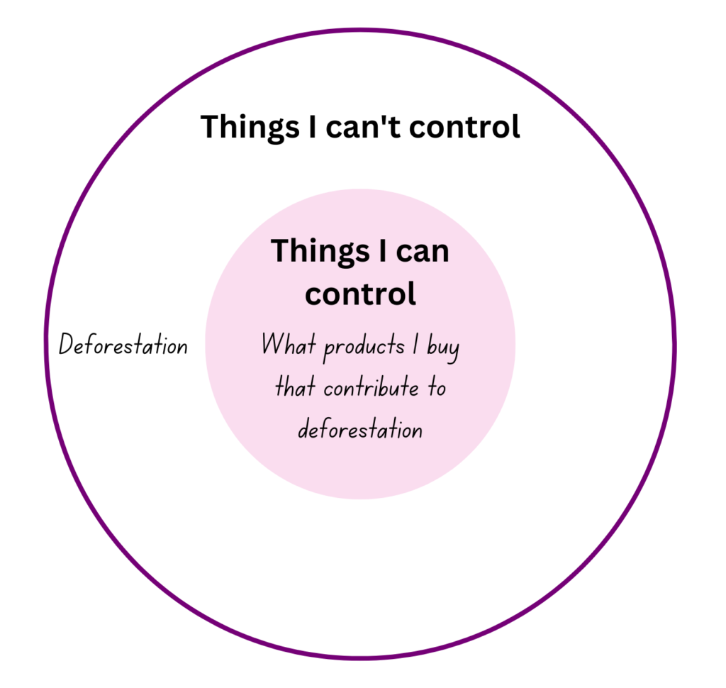 an example of creating a circle of control for eco anxiety