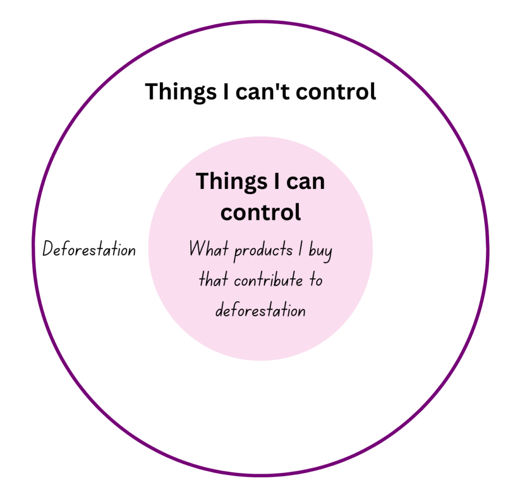 an example of creating a circle of control for eco anxiety. In the "things I can't control" circle there is deforestation, in the "things I can control" circle is buying products that contribute to deforestation.